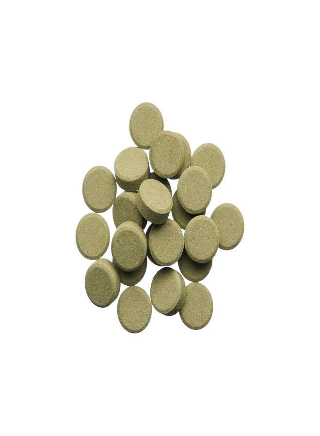 Plecoceramics أقراص Plecoceramics Bottom Feeder، غذاء عالمي لأسماك الزينة، والسلاحف، والأسماك الذهبية، وسمك السلور - رقائق بروتين سبيرولينا (50 غرام) - Image 2